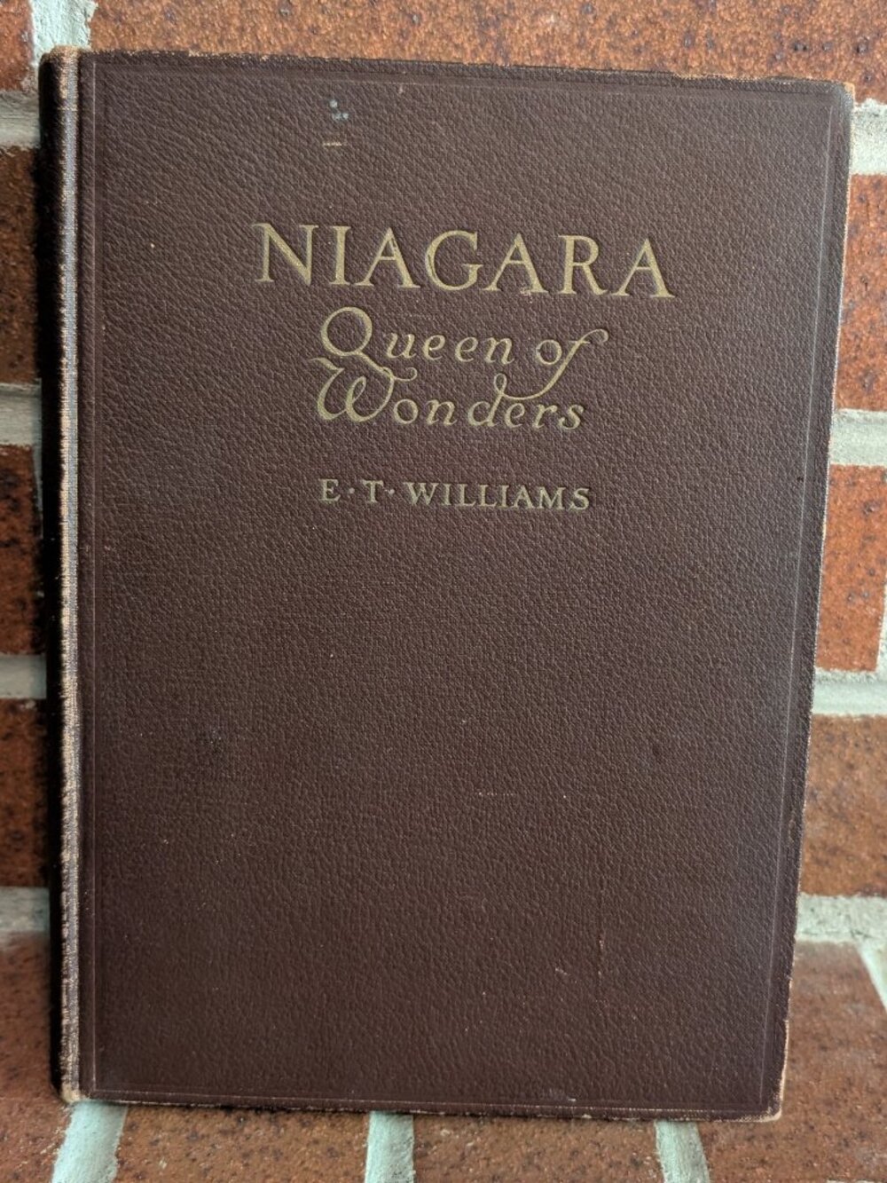 1916 Niagara: Queen of Wonders by Edward Theodore Williams – Antique Hardcover